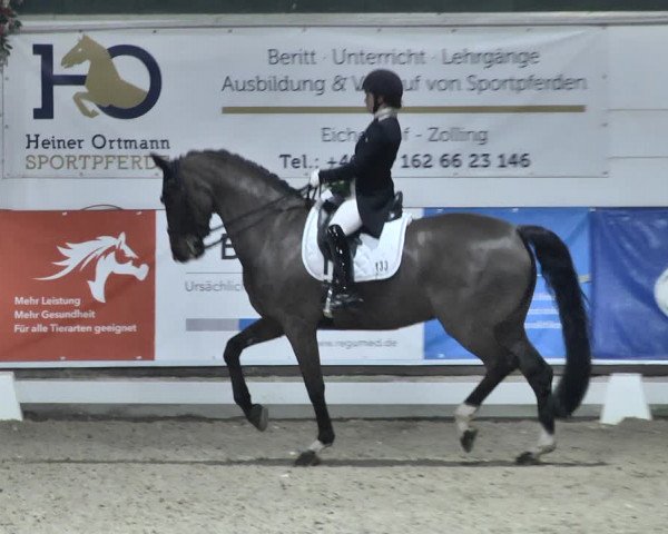Reitturnier Karlsfeld 2022