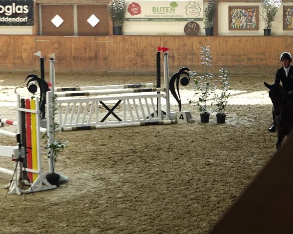 Reitturnier Gehrde - Klein Drehle 2022