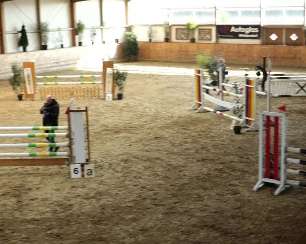 Reitturnier Gehrde - Klein Drehle 2022