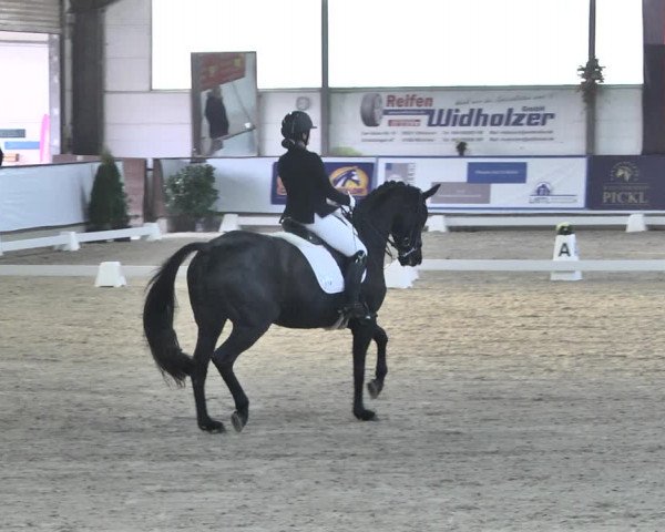 Reitturnier Karlsfeld 2022