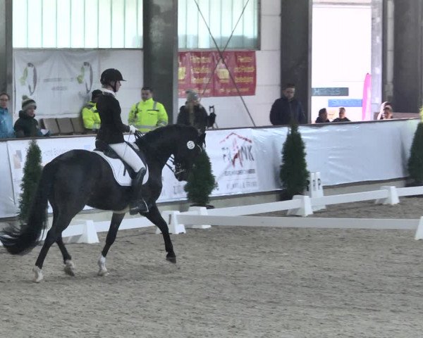 Reitturnier Karlsfeld 2022