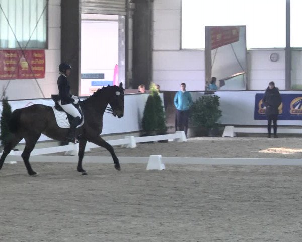 Reitturnier Karlsfeld 2022