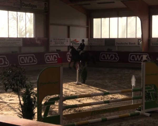 Reitturnier Goch-Asperden 2022