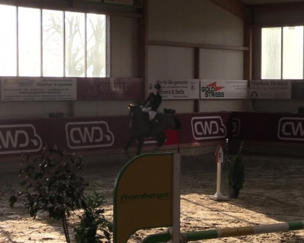 Reitturnier Goch-Asperden 2022