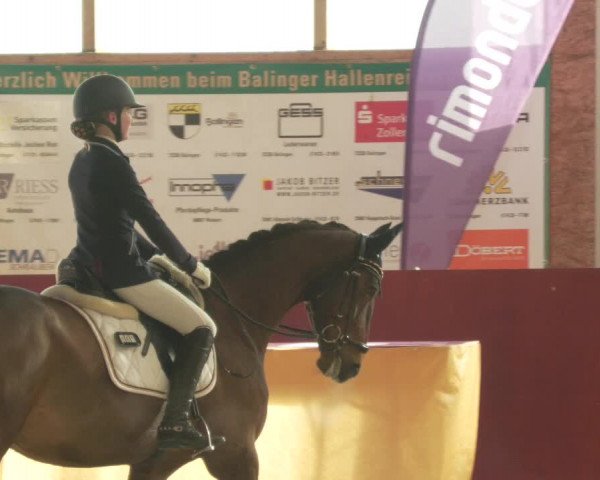 Reitturnier Balingen 2022