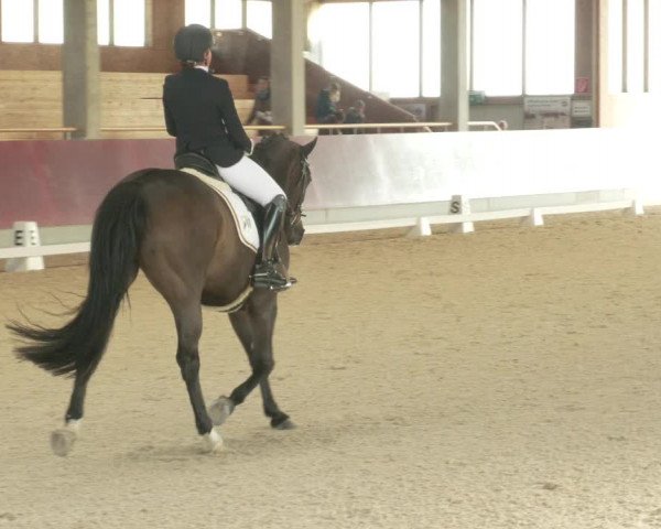 Reitturnier Balingen 2022