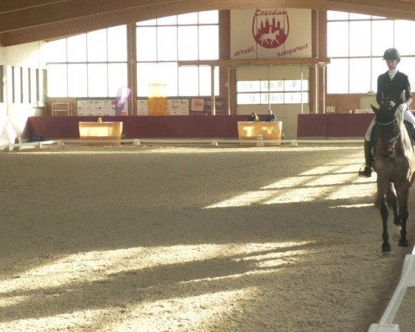 Reitturnier Balingen 2022