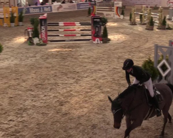 11. Nordic Jumping Event in Negernbötel 2022 – Abschlussturnier mit LVM Finale Dressur/Springen