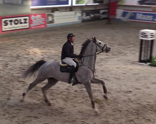11. Nordic Jumping Event in Negernbötel 2022 – Abschlussturnier mit LVM Finale Dressur/Springen
