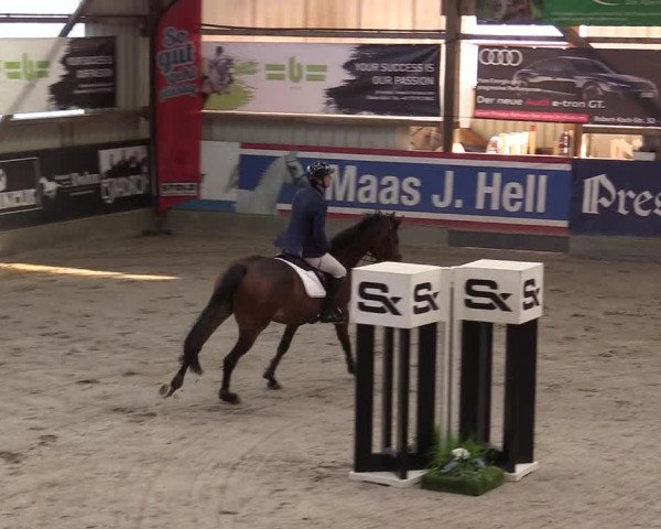 11. Nordic Jumping Event in Negernbötel 2022 – Abschlussturnier mit LVM Finale Dressur/Springen