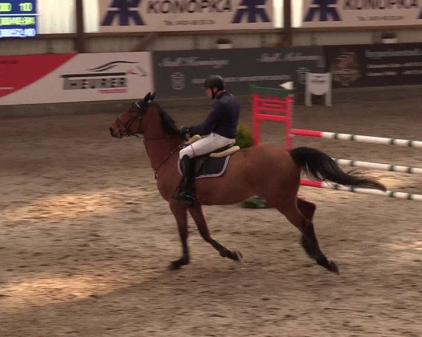 11. Nordic Jumping Event in Negernbötel 2022 – Abschlussturnier mit LVM Finale Dressur/Springen