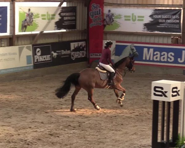 11. Nordic Jumping Event in Negernbötel 2022 – Abschlussturnier mit LVM Finale Dressur/Springen
