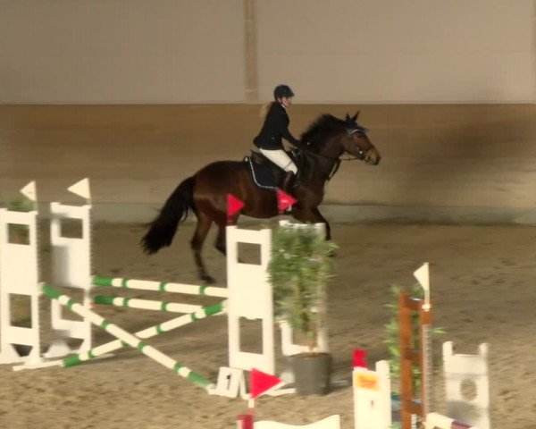 Reitturnier Schaffhausen 2022