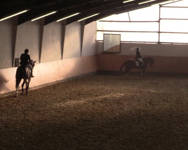 Reitturnier Datteln 2022