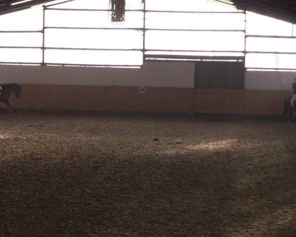 Reitturnier Datteln 2022