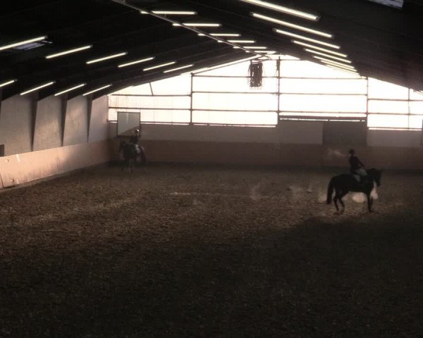 Reitturnier Datteln 2022