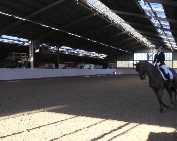 Reitturnier Greven 2022