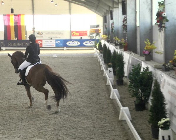Reitturnier Karlsfeld 2022