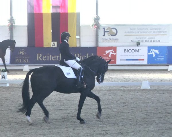 Reitturnier Karlsfeld 2022