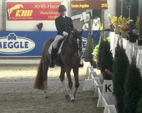 Reitturnier Karlsfeld 2022