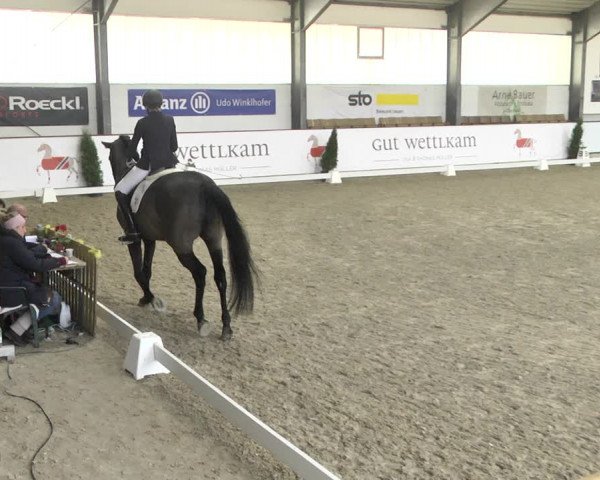 Reitturnier Karlsfeld 2022