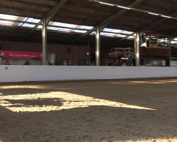 Reitturnier Greven 2022