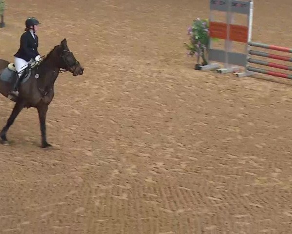 Reitturnier Kreuth 2022