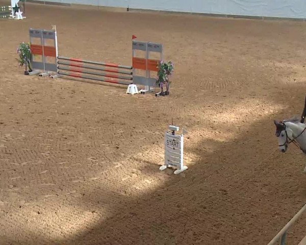 Reitturnier Kreuth 2022