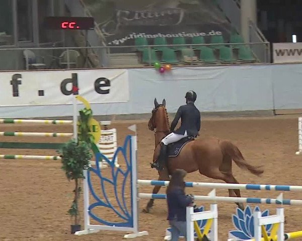 Reitturnier Kreuth 2022
