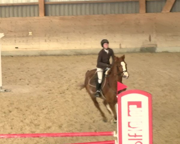 Reitturnier Schaffhausen 2022