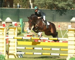 broodmare Bmc Malaguena La Silla (Selle Français, 2000, from Quick Star)