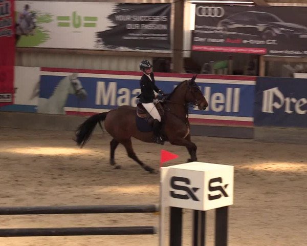11. Nordic Jumping Event in Negernbötel 2022 – Abschlussturnier mit LVM Finale Dressur/Springen