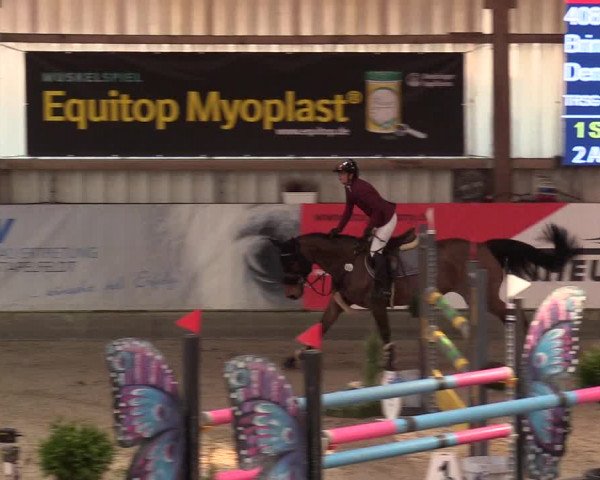 11. Nordic Jumping Event in Negernbötel 2022 – Abschlussturnier mit LVM Finale Dressur/Springen