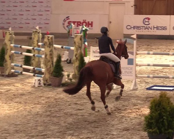 11. Nordic Jumping Event in Negernbötel 2022 – Abschlussturnier mit LVM Finale Dressur/Springen