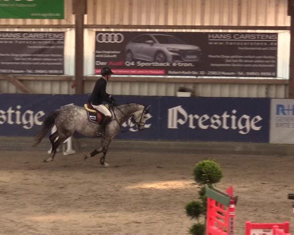 11. Nordic Jumping Event in Negernbötel 2022 – Abschlussturnier mit LVM Finale Dressur/Springen