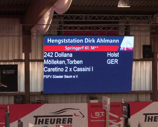 11. Nordic Jumping Event in Negernbötel 2022 – Abschlussturnier mit LVM Finale Dressur/Springen