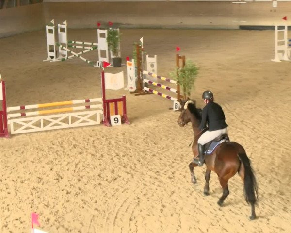 Reitturnier Schaffhausen 2022