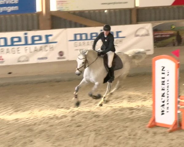Reitturnier Schaffhausen 2022