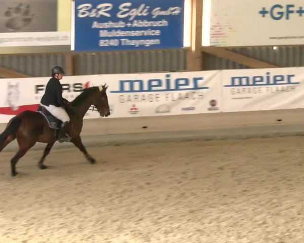 Reitturnier Schaffhausen 2022