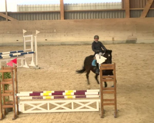 Reitturnier Schaffhausen 2022