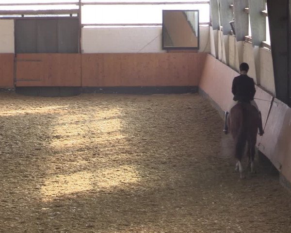 Reitturnier Datteln 2022