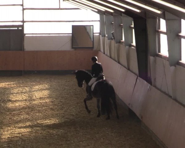 Reitturnier Datteln 2022