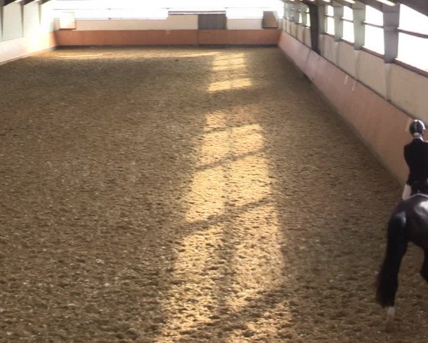 Reitturnier Datteln 2022