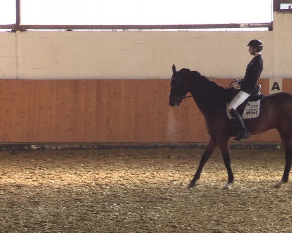 Reitturnier Datteln 2022