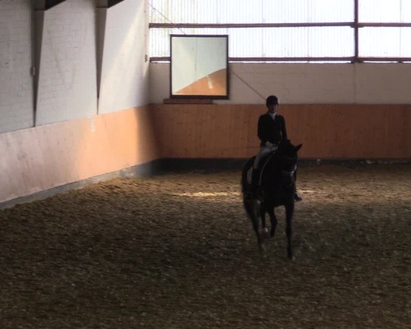 Reitturnier Datteln 2022