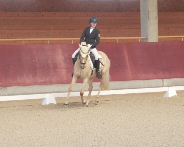 Reitturnier Balingen 2022