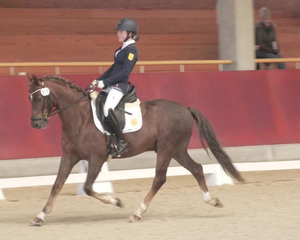 Reitturnier Balingen 2022