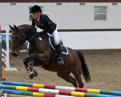 jumper Balou de Lübz (Oldenburg, 2004, from Balou du Rouet)