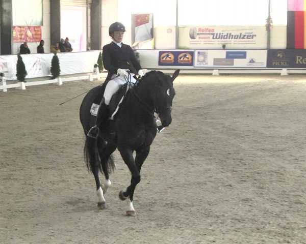 Reitturnier Karlsfeld 2022