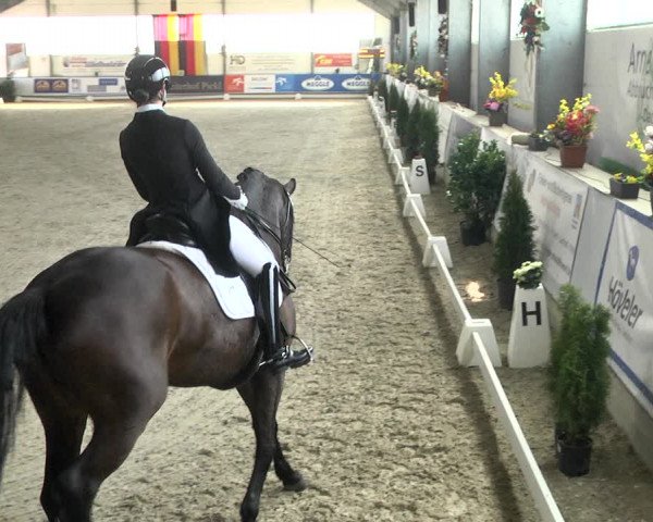Reitturnier Karlsfeld 2022